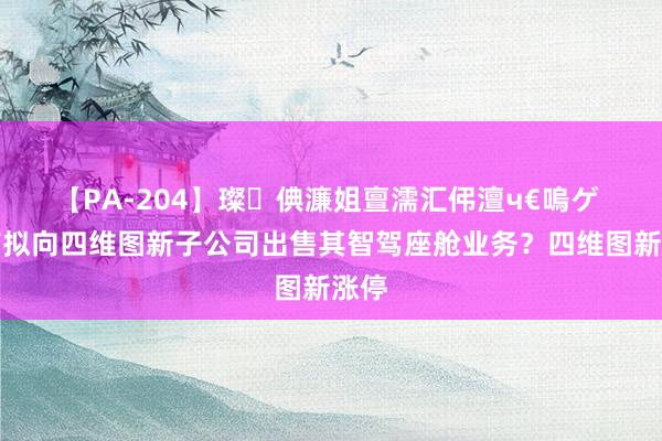 【PA-204】璨倎濂姐亶濡汇伄澶ч€嗚ゲ 滴滴拟向四维图新子公司出售其智驾座舱业务？四维图新涨停