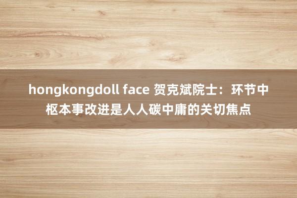 hongkongdoll face 贺克斌院士：环节中枢本事改进是人人碳中庸的关切焦点