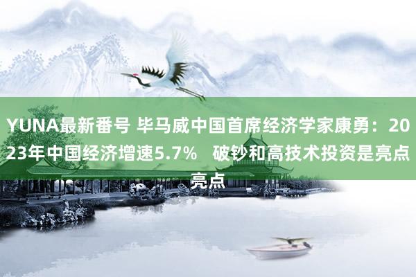 YUNA最新番号 毕马威中国首席经济学家康勇：2023年中国经济增速5.7%   破钞和高技术投资是亮点