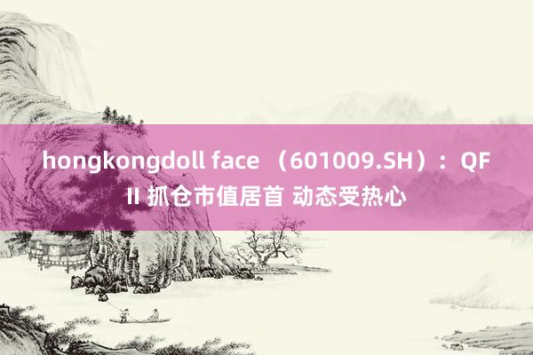 hongkongdoll face （601009.SH）：QFII 抓仓市值居首 动态受热心