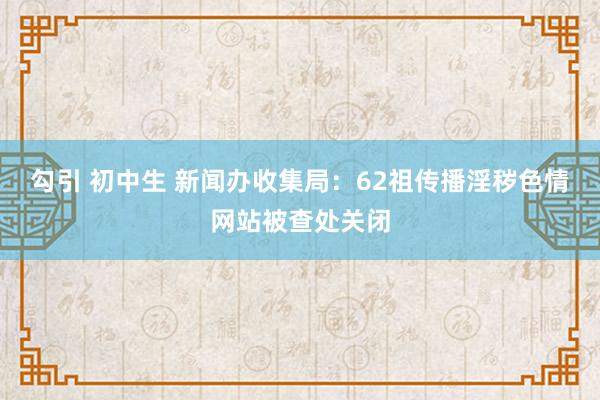 勾引 初中生 新闻办收集局：62祖传播淫秽色情网站被查处关闭