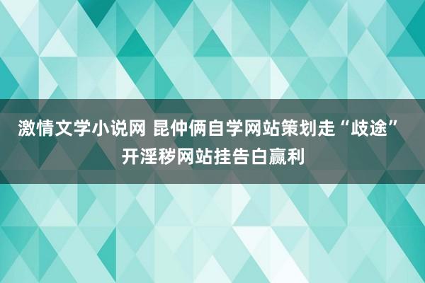 激情文学小说网 昆仲俩自学网站策划走“歧途” 开淫秽网站挂告白赢利