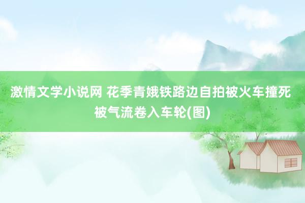 激情文学小说网 花季青娥铁路边自拍被火车撞死 被气流卷入车轮(图)