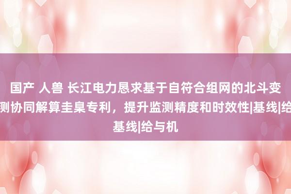 国产 人兽 长江电力恳求基于自符合组网的北斗变形监测协同解算圭臬专利，提升监测精度和时效性|基线|给与机